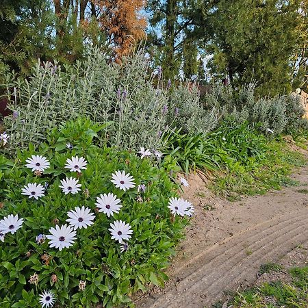 Gowrie Agapanthus Apartment Singleton Luaran gambar