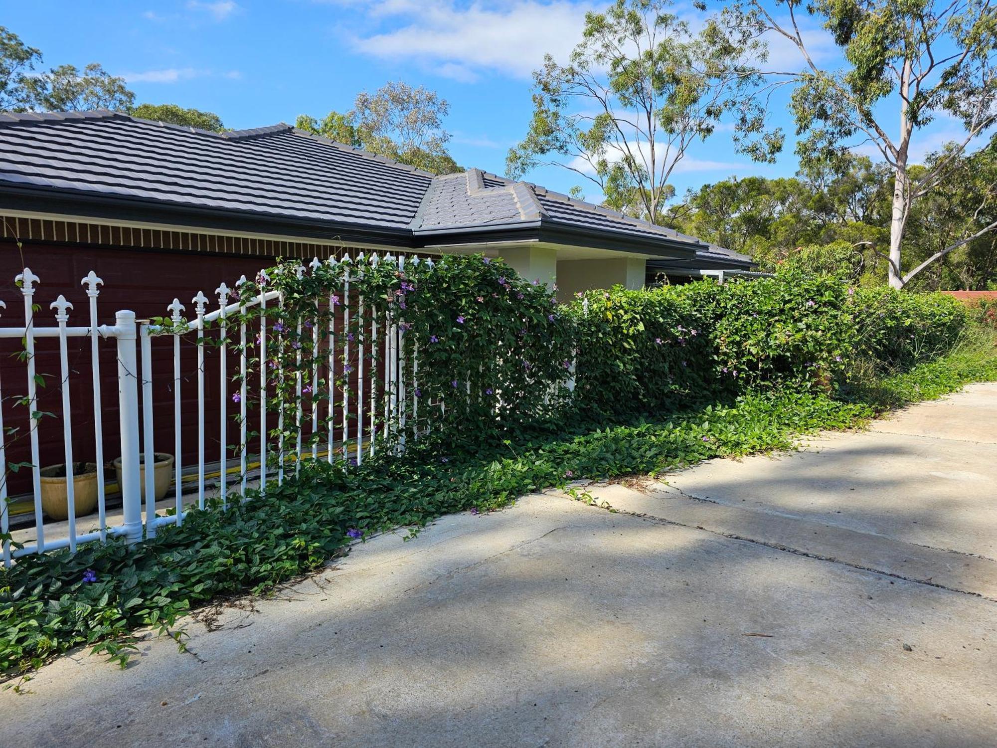 Gowrie Agapanthus Apartment Singleton Luaran gambar